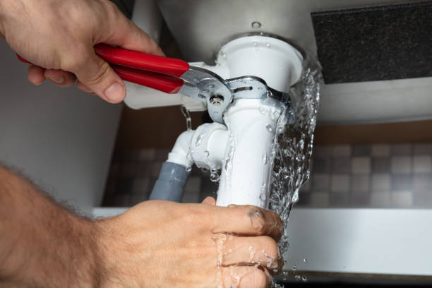 Best Sewage cleanup and water damage restoration  in Prospect Heights, IL