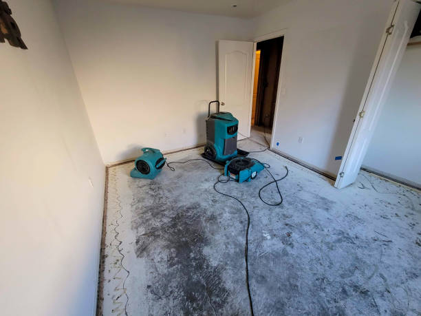 Best Basement water damage restoration  in Prospect Heights, IL