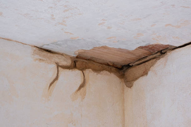 Best Flood restoration services  in Prospect Heights, IL