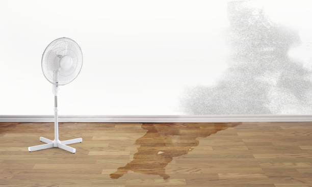 Best Commercial water damage restoration  in Prospect Heights, IL