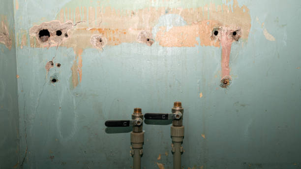 Best Water damage restoration near me  in Prospect Heights, IL