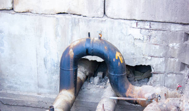 Best 24/7 water damage repair  in Prospect Heights, IL