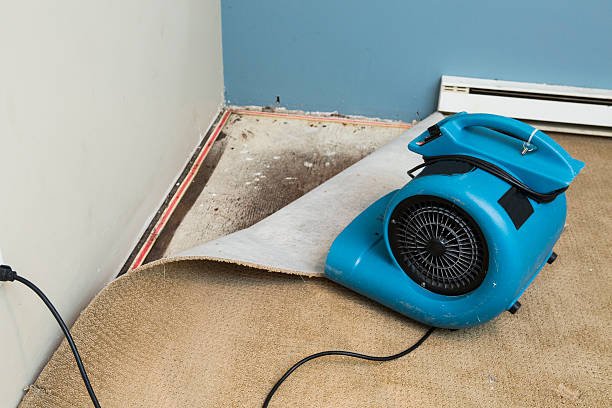 Best Flooded house restoration  in Prospect Heights, IL
