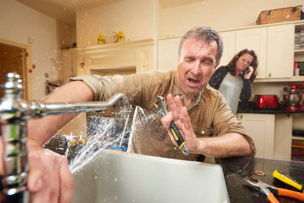 Best Water damage mitigation services  in Prospect Heights, IL